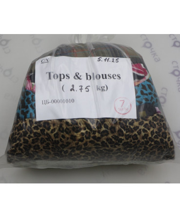 Tops & blouses — лот №7