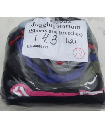 Jogging Bottom (shorts and breeches) — лот №10