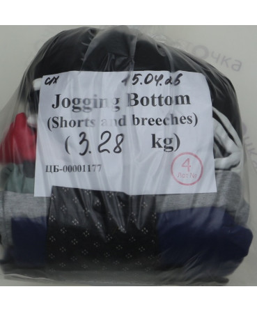 Jogging Bottom (shorts and breeches) — лот №4