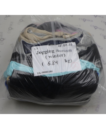 Jogging Bottom (winter) — лот №2