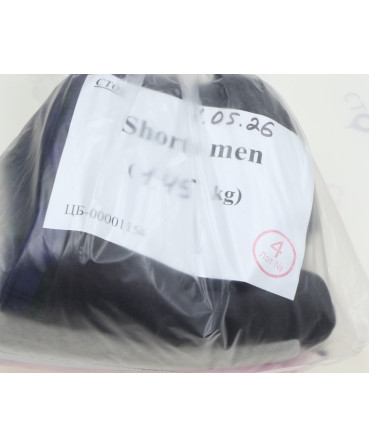 Shorts men — лот №4