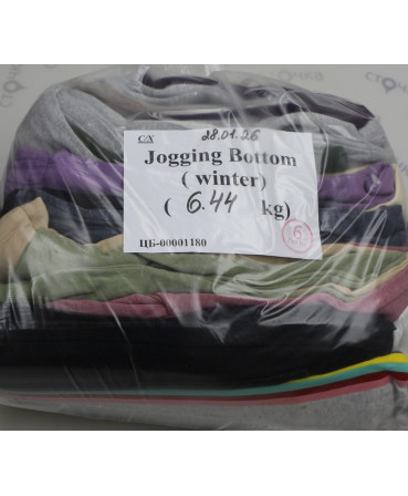 Jogging Bottom (winter) — лот №6