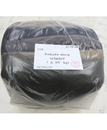 Jackets men winter — лот №4