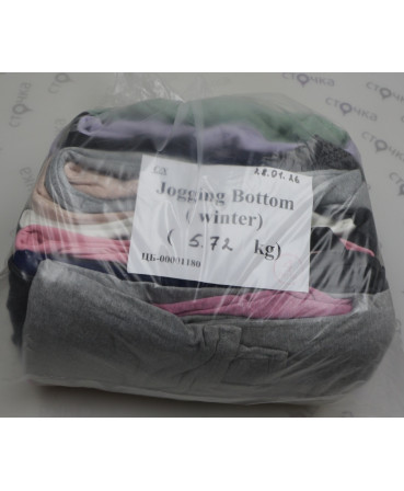 Jogging Bottom (winter) — лот №4