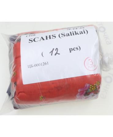 SCAHS (Vanzetti) — лот №3