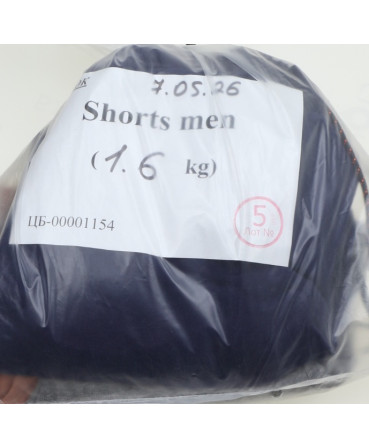 Shorts men — лот №5