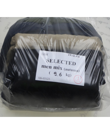 SELECTED men mix (autumn)
