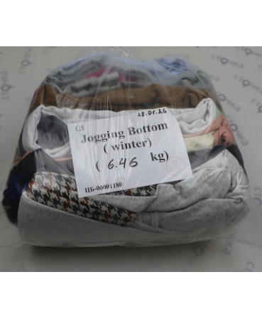 Jogging Bottom (winter) — лот №5