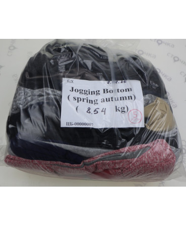 Jogging Bottom autumn spring — лот №5
