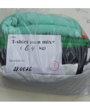 T-SHIRTS men mix + — лот №8