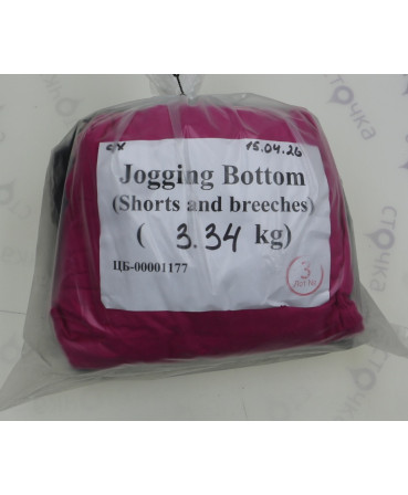 Jogging Bottom (shorts and breeches) — лот №3