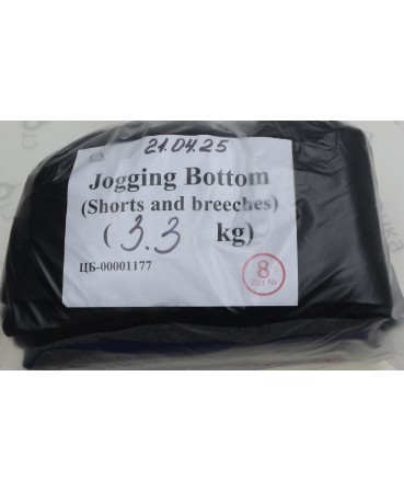 Jogging Bottom (shorts and breeches) — лот №8