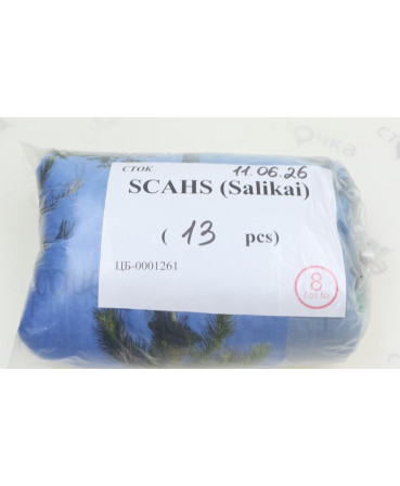 SCAHS (Vanzetti) — лот №8