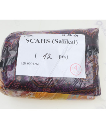 SCAHS (Vanzetti) — лот №4