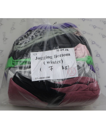 Jogging Bottom (winter) — лот №1
