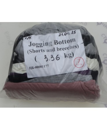 Jogging Bottom (shorts and breeches) — лот №7
