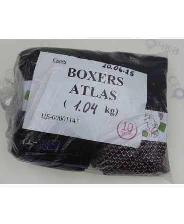 BOXERS ATLAS — лот №10