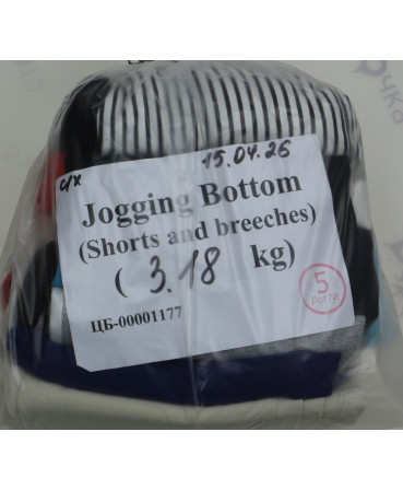 Jogging Bottom (shorts and breeches) — лот №5