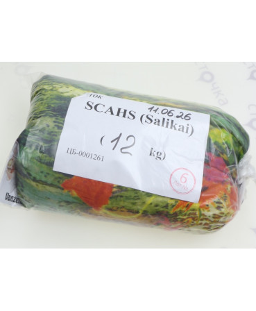SCAHS (Vanzetti) — лот №6