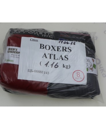 BOXERS ATLAS — лот №8